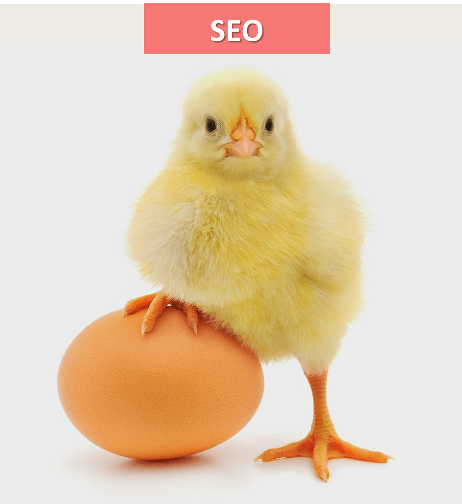 Estratégia de SEO: És o ovo ou a galinha? - UniK SEO